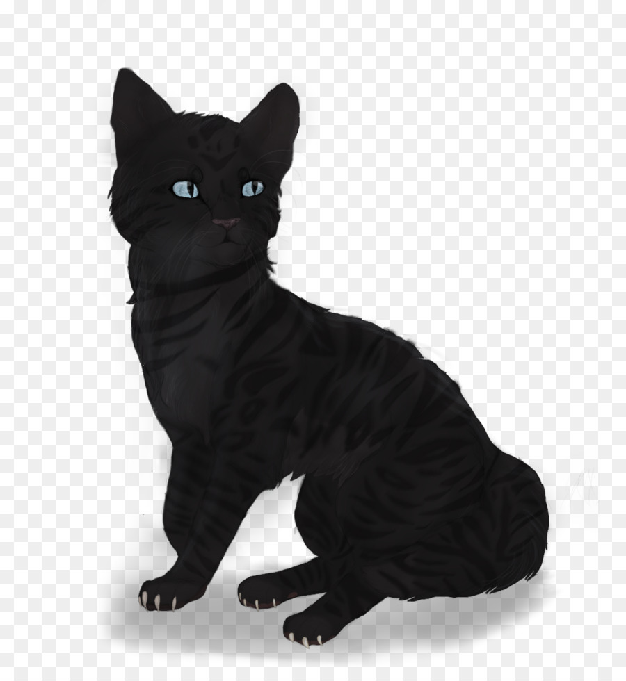 Bombay-Katze, die Manx-Katze Europäische Kurzhaar American Wirehair Korat - schreckliche schwarze Katze