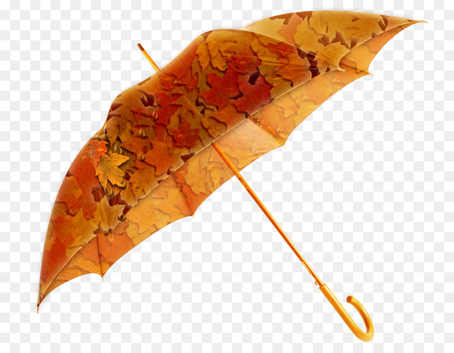 Regenschirm Fotografie - Regenschirm