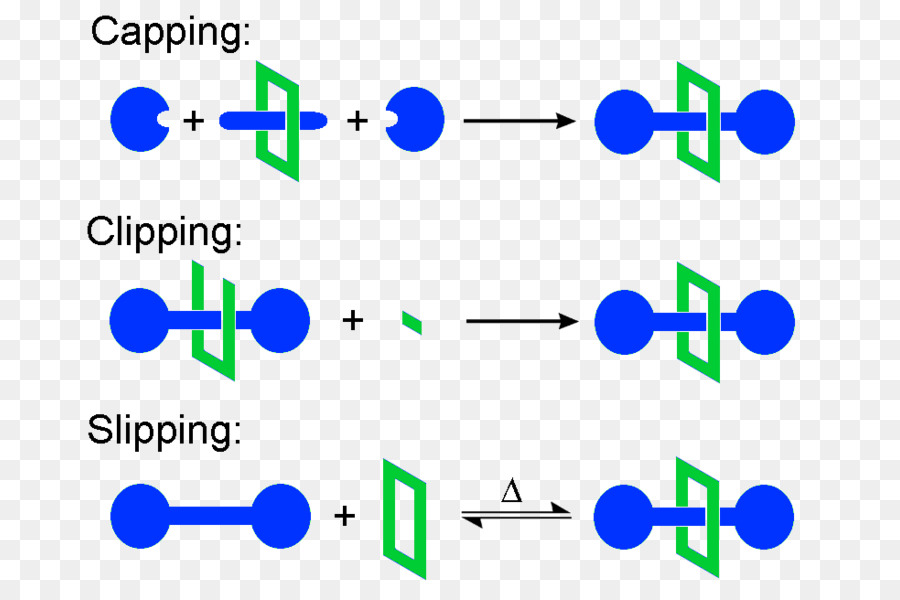 Rotaxane Hóa học tổng hợp phân Tử Bánh xe điện tử và công Nghệ trục - phương pháp