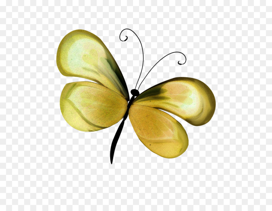 Pinsel-footed Schmetterlinge Pieridae Schmetterling Insekten Flügel - Schmetterling