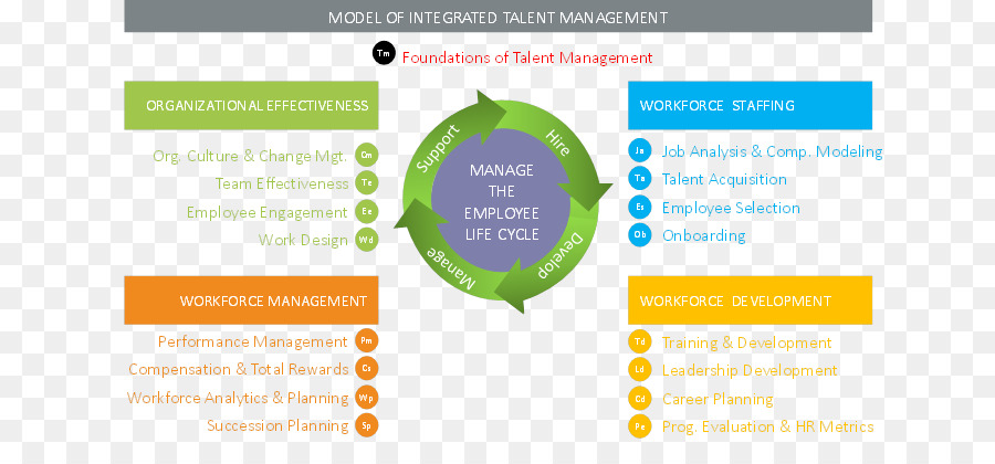 La gestione dei talenti Organizzazione, Leadership, coinvolgimento dei Dipendenti - La gestione dei talenti