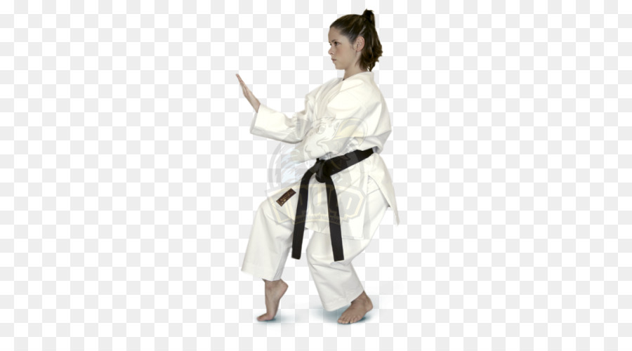 Karate thế giới Liên bang Dobok Kata Karate gi - Võ karate