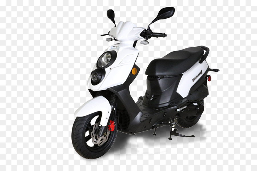 Genuine Scooter Compagno Di Honda Moto - scooter