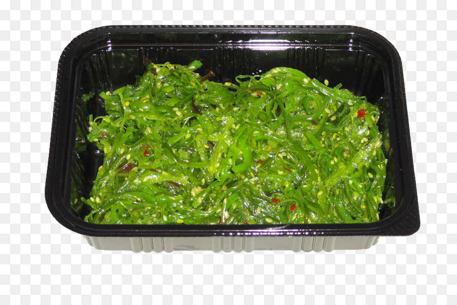 Salat Rezept - shumai