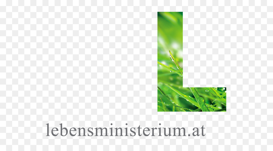 Stati della Germania Ministero della Sostenibilità e del Turismo Bundesministerium - Ministero delle politiche agricole e Forestali