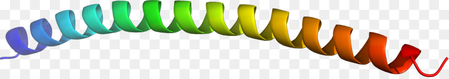 Logo Clip nghệ thuật - Thiết kế