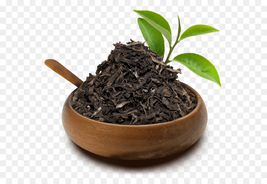 Romeritos Uxi Gatto artiglio del Nilgiri tea, il tè Bianco - Camelia sinensis
