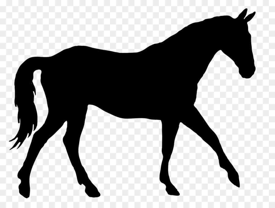 Cavallo Silhouette di Dressage Equestre Clip art - cavallo