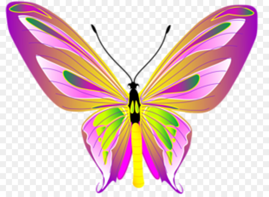 Farfalla monarca Disegno Clip art - farfalla