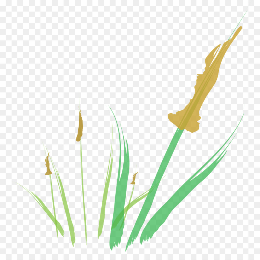 Le erbe di Sfondo per il Desktop, Foglia, Pianta, stelo, Petalo - foglia