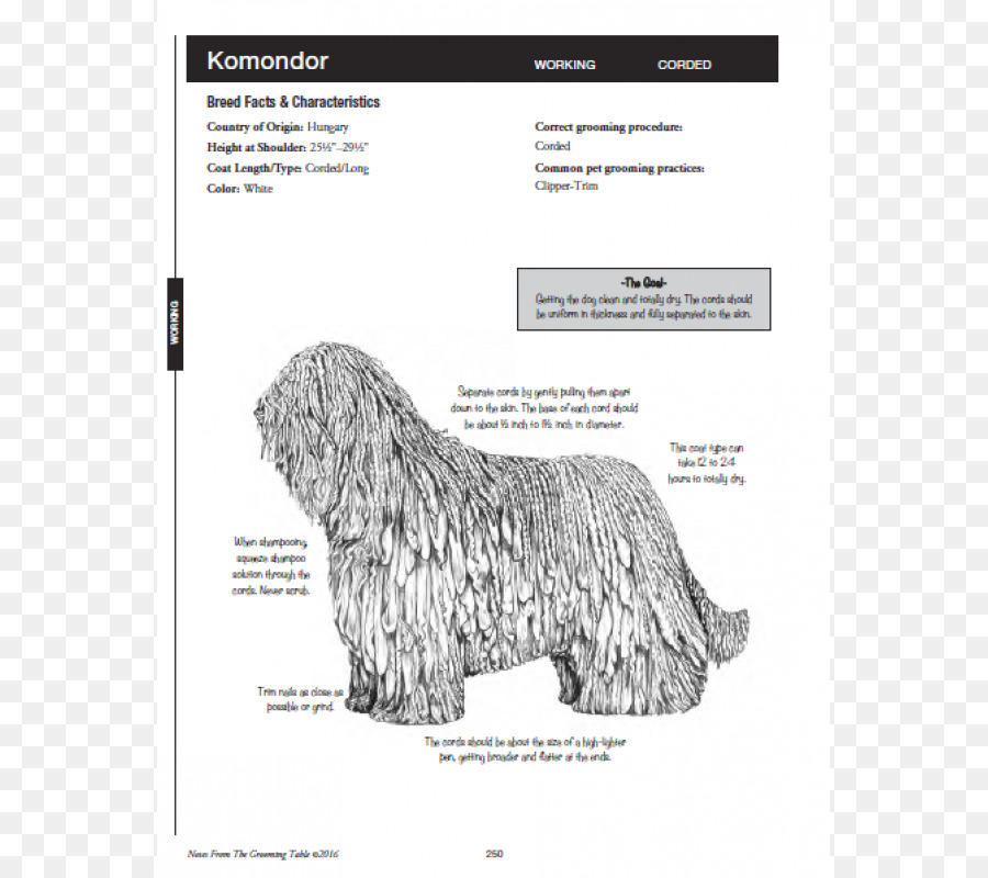 Glen Die Notizen, Pocket Pal: Notizen aus der Grooming-Tisch, ein All-breed Grooming Guide für die Professionelle Pet Stylistin Dog grooming Schnauzer - massage Gürtel
