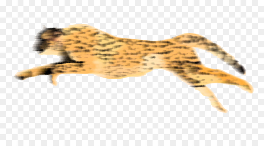 Cheetah Sfondo del Desktop Clip art - ghepardo