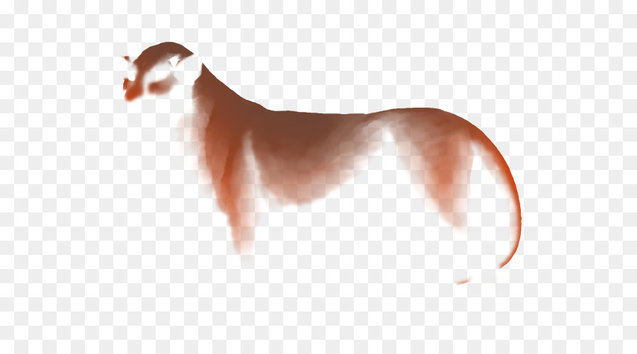 Cane di razza Levriero italiano Cucciolo Pelle - cucciolo