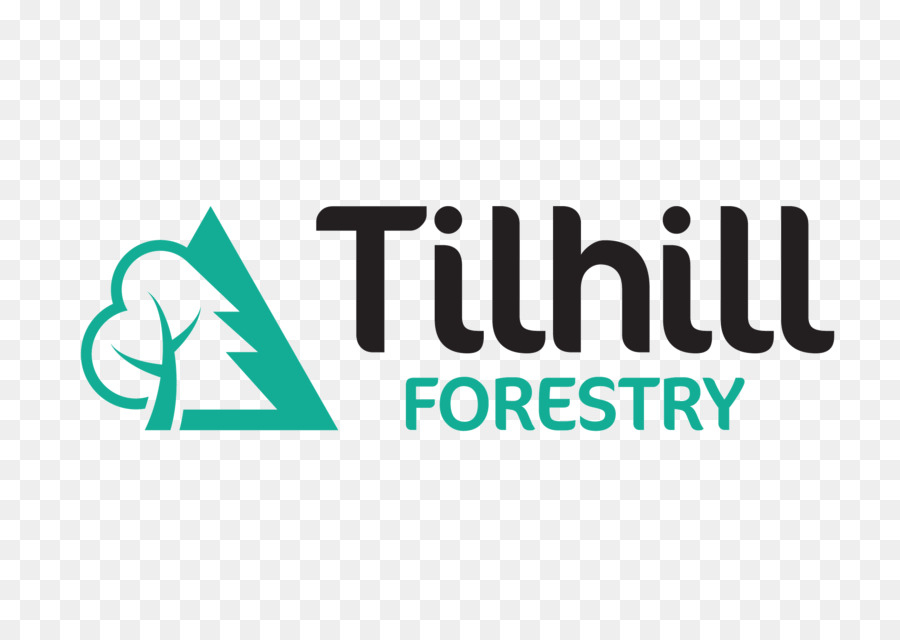 Tilhill Forestale, gestione forestale Sostenibile - foresta