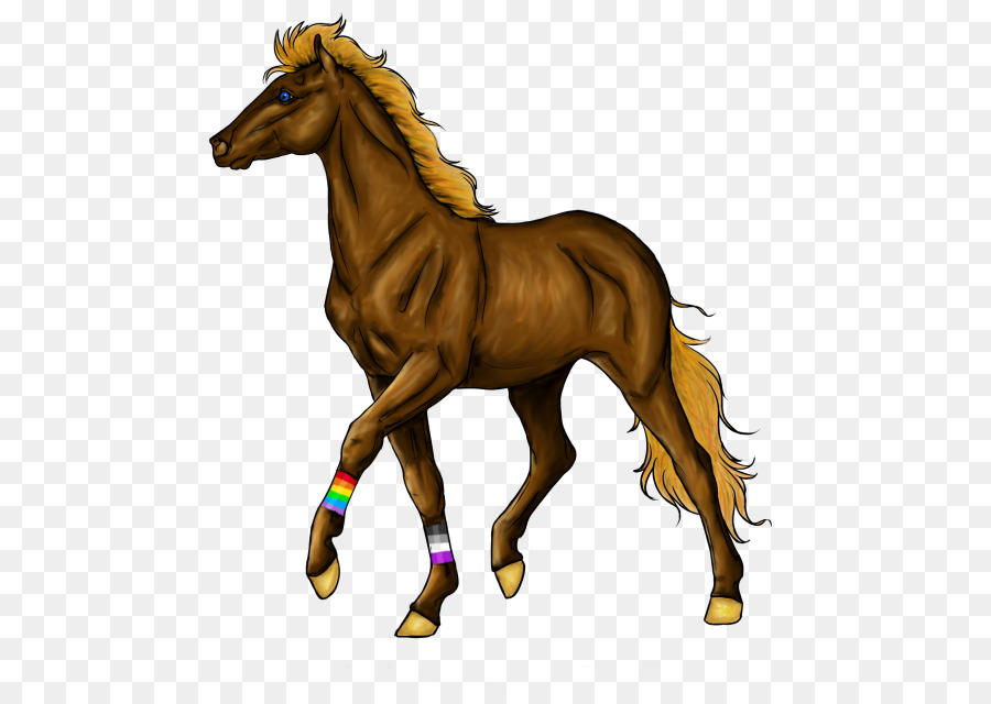 Mane Pony Fohlen Halfter Mustang - Mustang