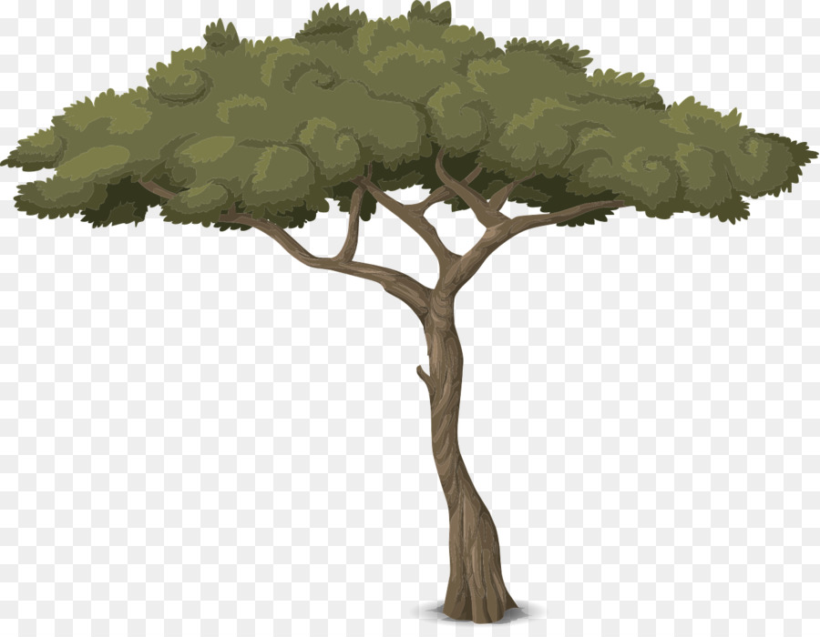 Filiale Di Tronco D'Albero - albero