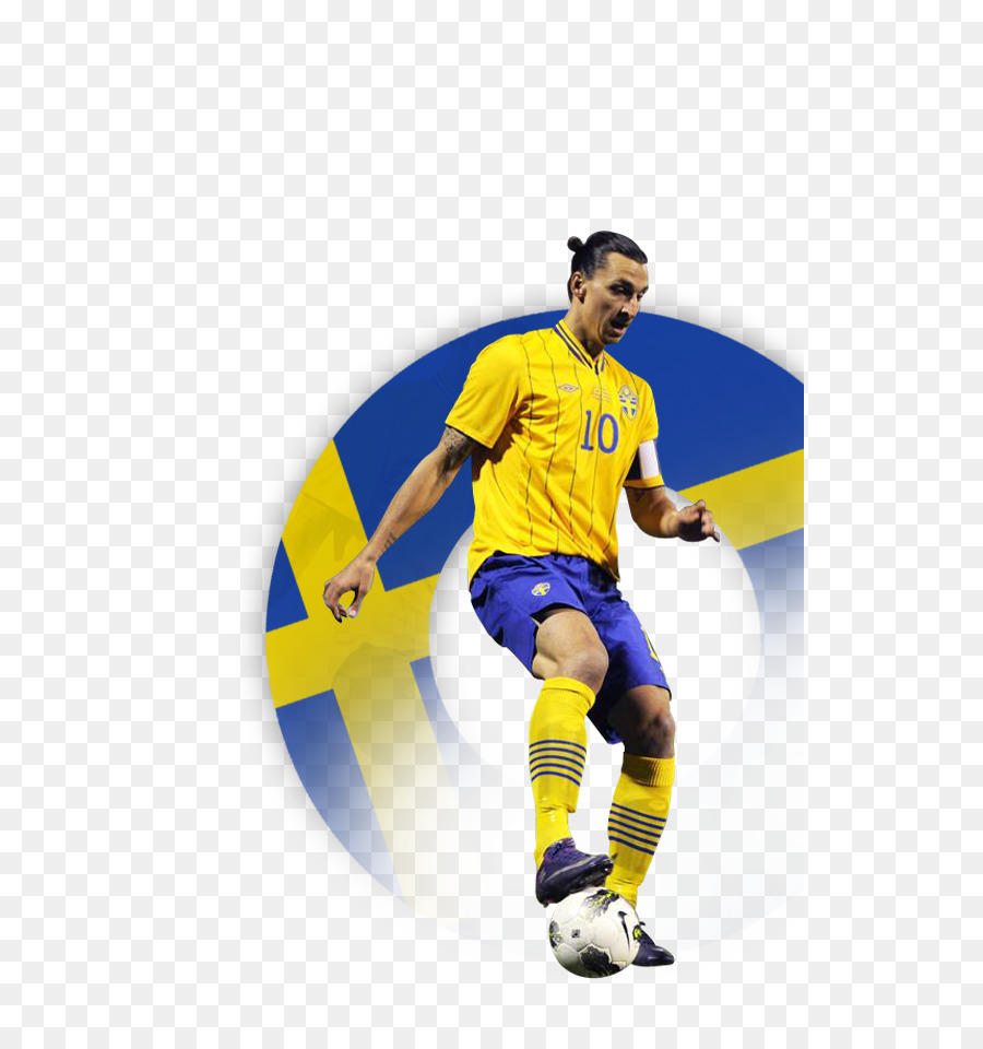 Schweden Fußball-Nationalmannschaft für die UEFA Euro 2012 Team-sport-Fußball-Spieler der WM - Fußball