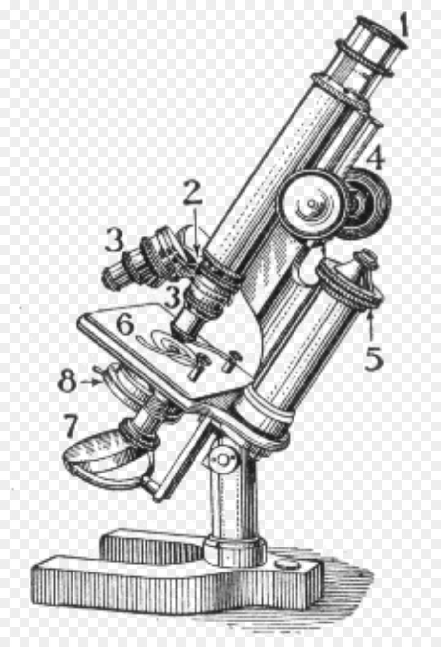 Licht-Optisches Mikroskop Biologie Schliffbild - Licht