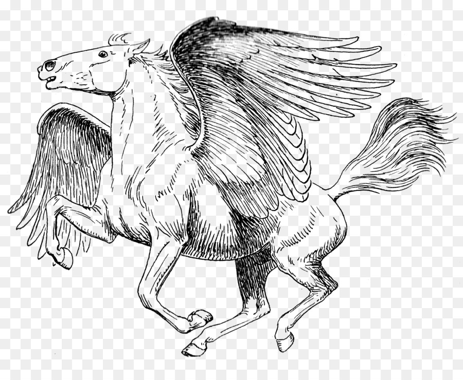 Libro da colorare Disegno Pegasus Schizzo - Prenota
