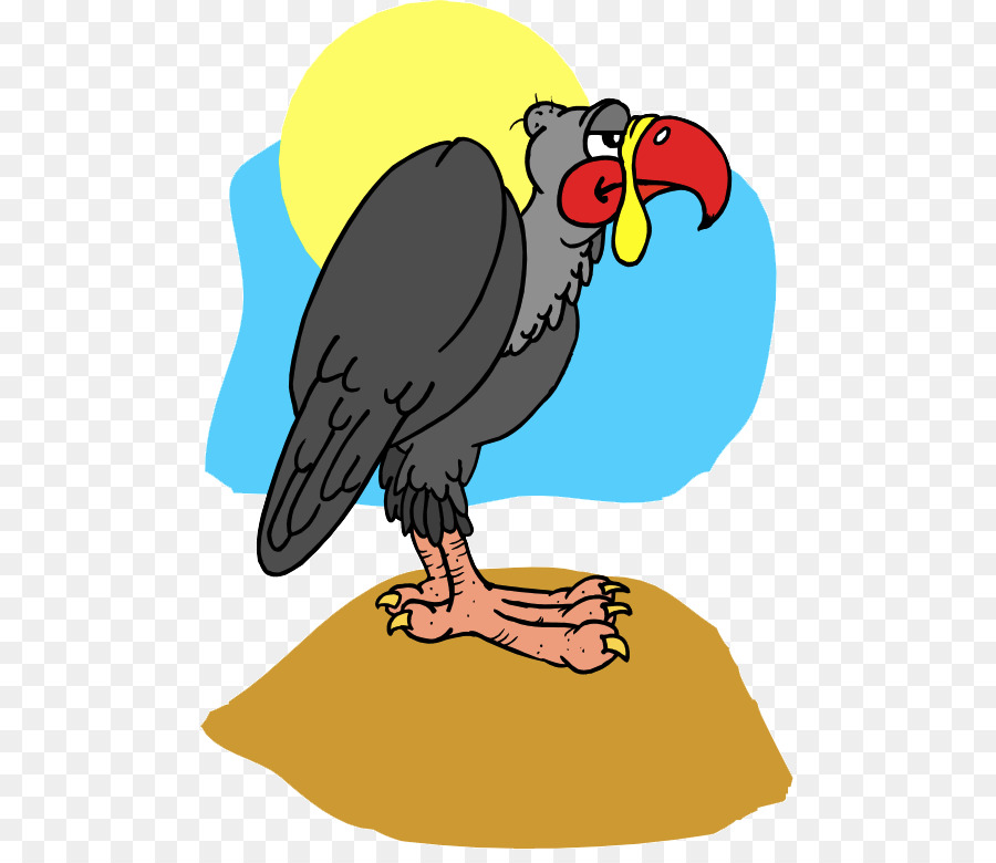Ara Sparviere Poiana Vulture Clip art - velociraptor