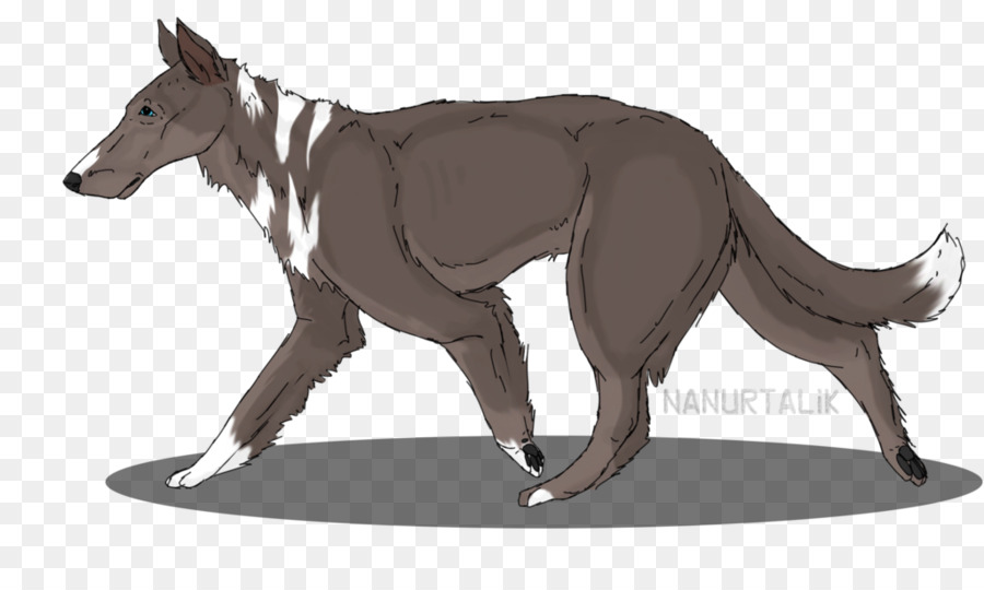 Hund Pferd Macropodidae Pack-Tier Charakter - Hund