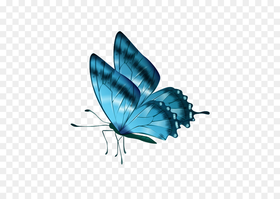 Cartoon Rainbow png download - 650*628 - Free Transparent Butterfly png  Download. - CleanPNG / KissPNG