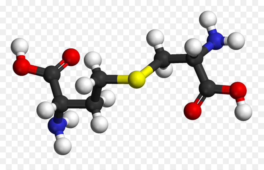 Cystathionin beta-synthase Cystein-Cystin, Aminosäure - Haar