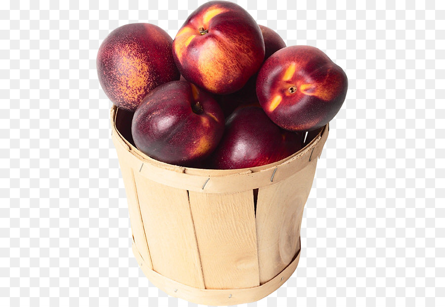 Cây lê Mai trái Cây Clip nghệ thuật - Mai