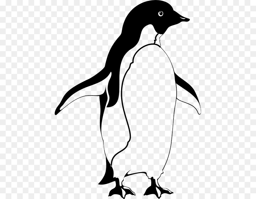 Chim Cánh Cụt Quần Đảo Galapagos Chim Nam Cực Animaatio - Chim cánh cụt