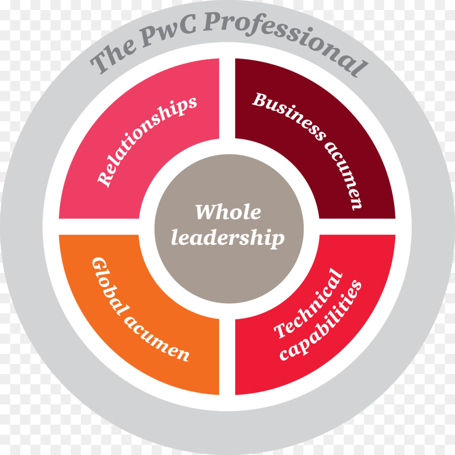 PricewaterhouseCoopers PwC Academy Karriere Business - andere