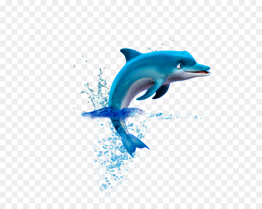 Common Tümmler Delfin kurz Schnabel gemeinsame Delfin tucuxi wholphin - Delphin