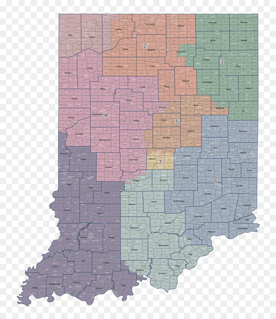 Indianapolis Indiana thống đốc bầu cử năm 1992 miễn phí tiền bản Quyền thống Đốc bang Indiana - những người khác