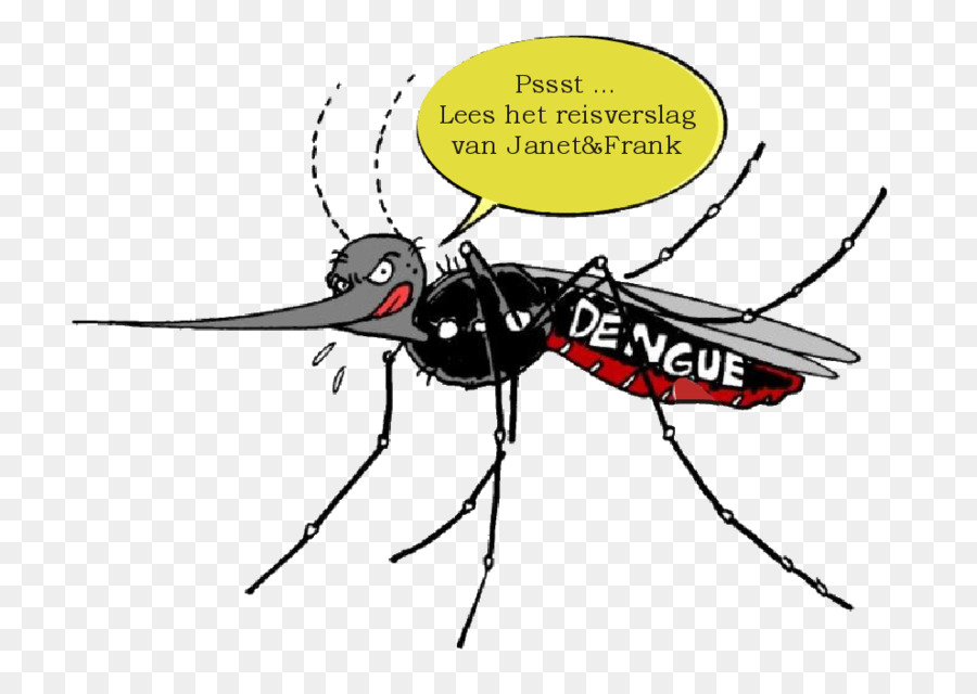 Gelb-Fieber-Mücke, die das Dengue-Fieber Brasilien Insekt - Mücke