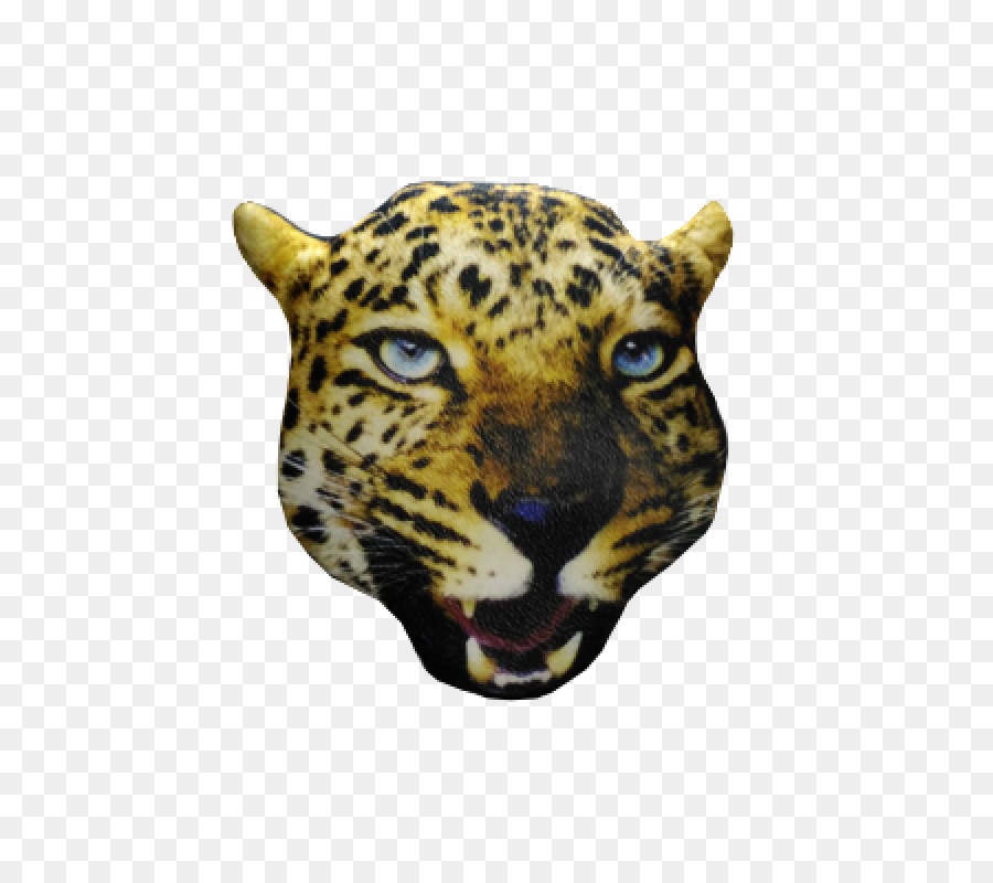 Leopard Jaguar Tiger Gepard Schnurrhaare - Leopard