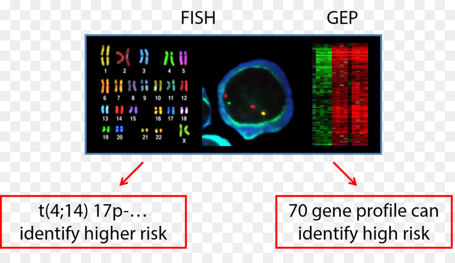 Dispositivo di visualizzazione Elettronica Cariotipo Gadget Font - I test genetici