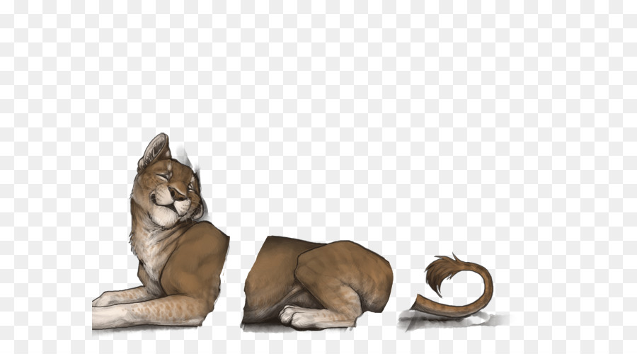Big cat Cougar Hund Fell - Katze