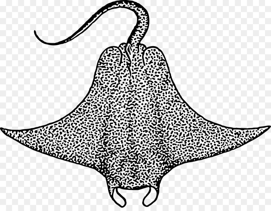 Teufel Fisch Batoidea Clip art - Fisch