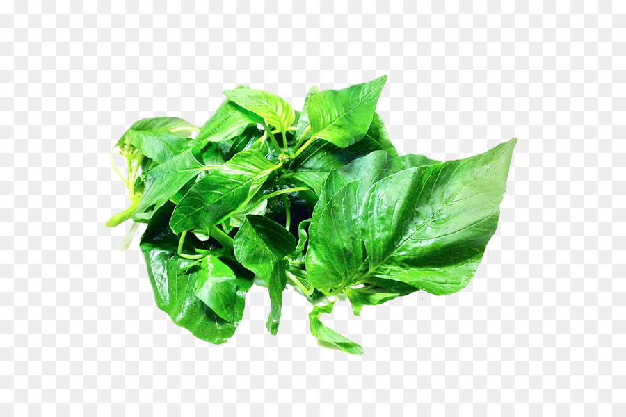 Spinat Essen - pflanzliche