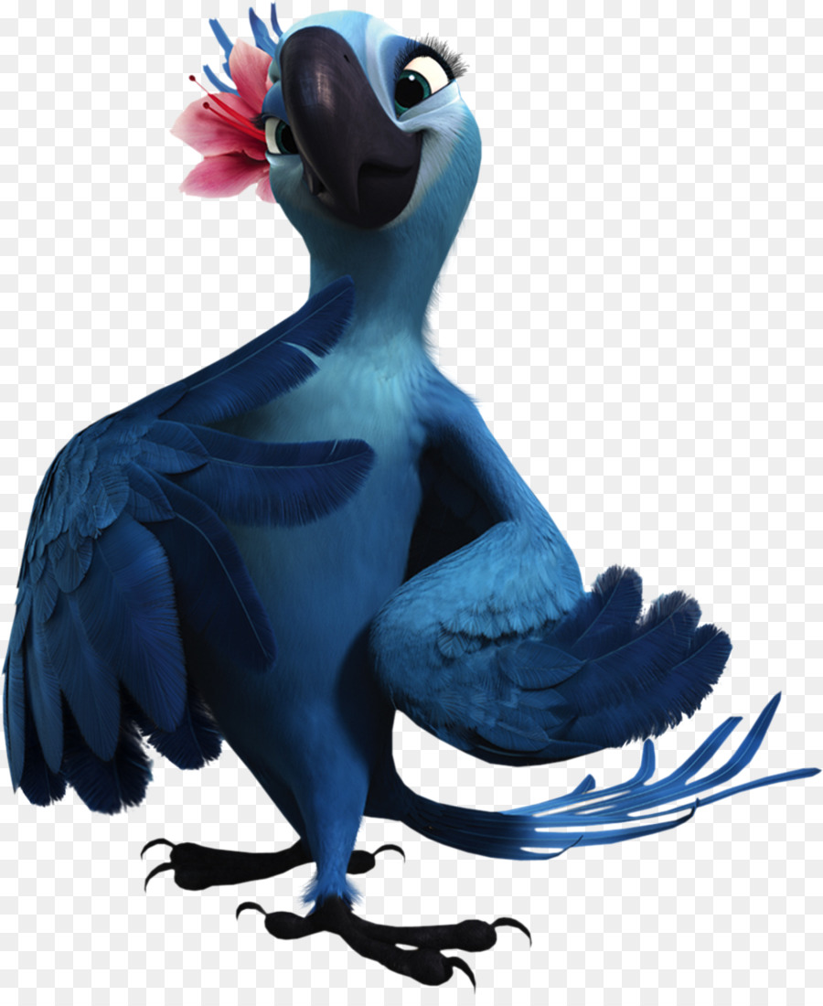 Rio Bird