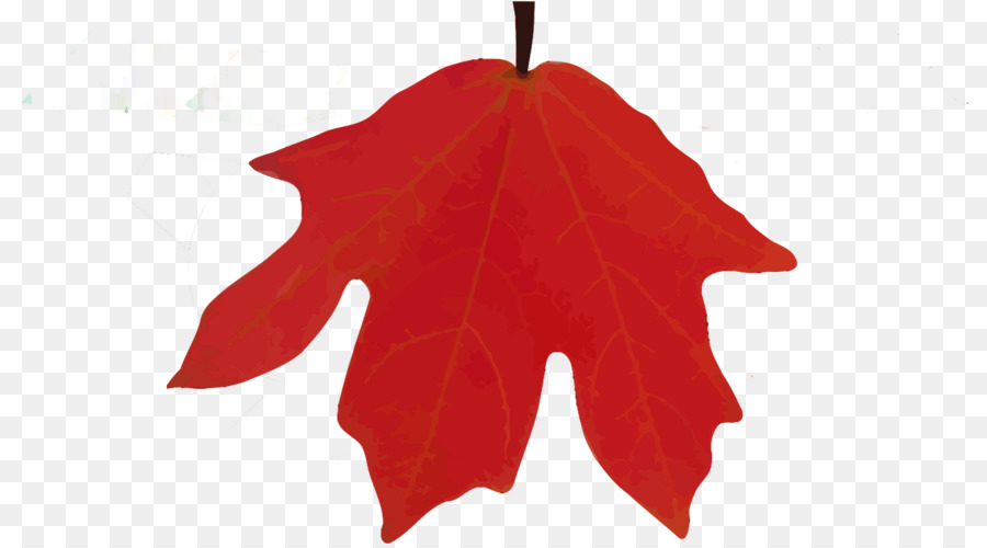 Verlorene Maples State Natural Area Maple leaf Camping Christmas ornament - Land lane campground rv park