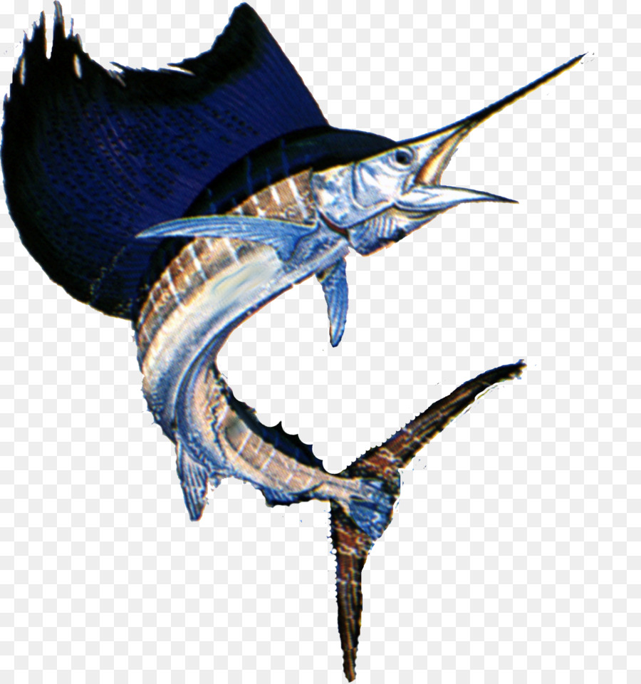 Pesce spada, il tonno Albacora tonno rosso dell'Atlantico - Vela