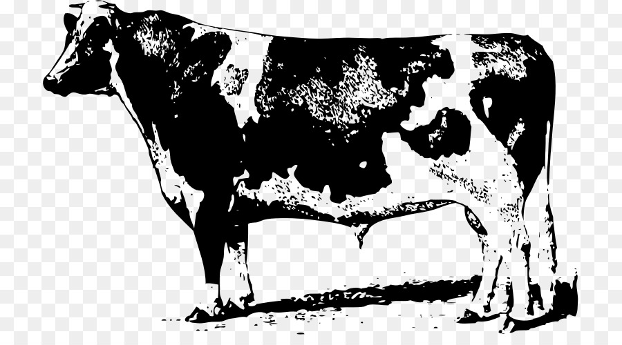 Đàn bò Vẽ bò Sữa Clip nghệ thuật - bò