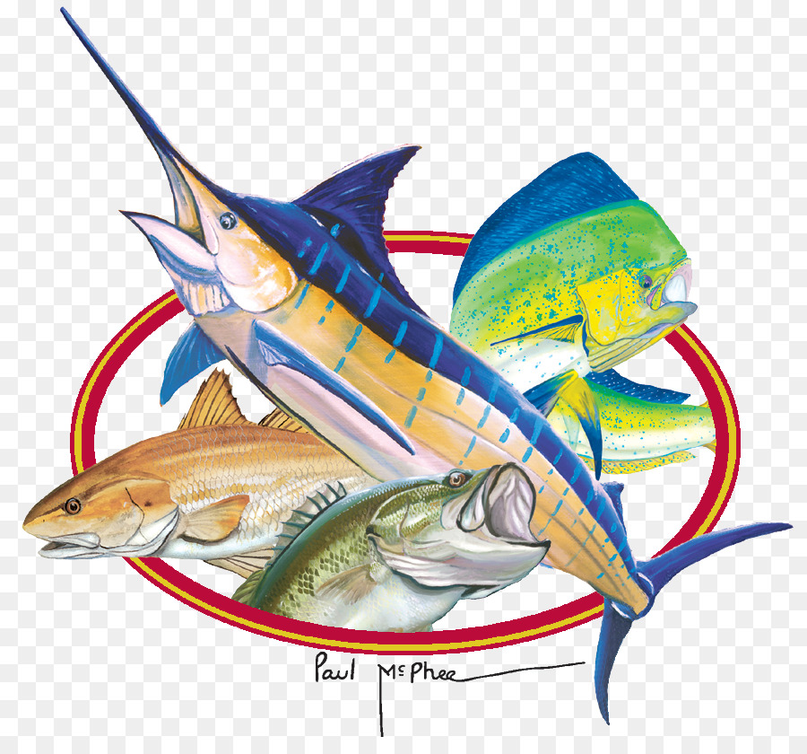 Pesce spada, Sardine pesce azzurro Usted - acquerello di pesca