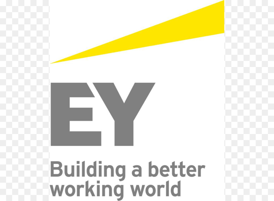 Ernst Young Text