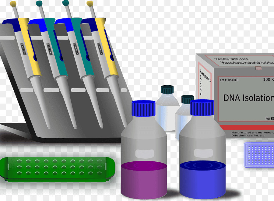 Biologia molecolare della Molecola Genetica reazione a catena della Polimerasi - I test genetici