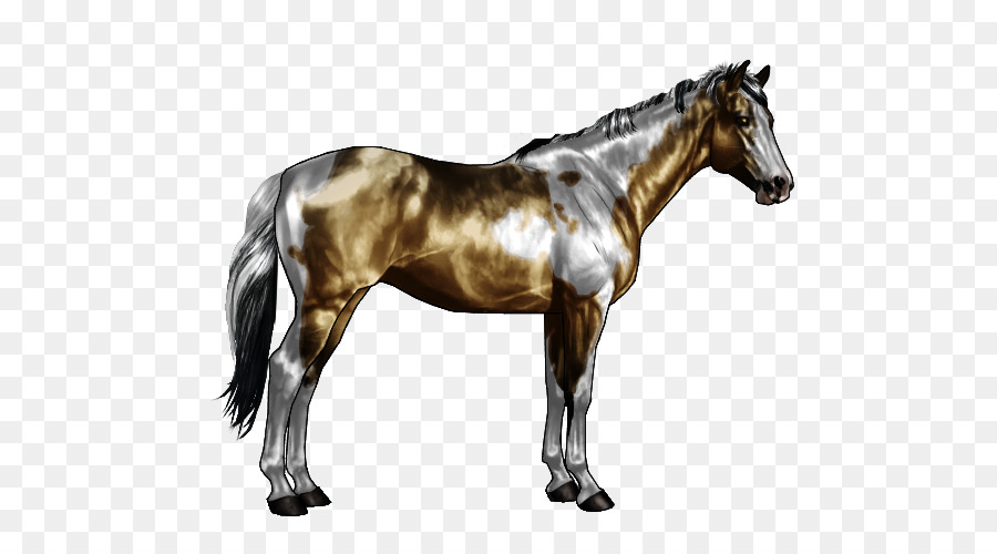 American Paint Horse Appaloosa Overo Roan Tobiano - cavallo modello