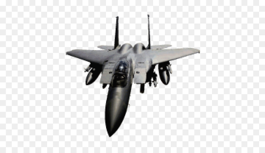 McDonnell Douglas F-15 Eagle McDonnell Douglas F-15E Strike Eagle Grumman F-14 Tomcat Caccia - volare attacco