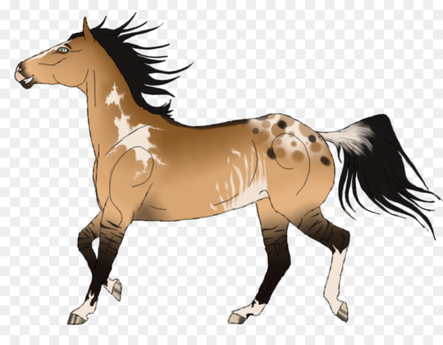Mähne Mustang Hengst Stute Fohlen - Mustang