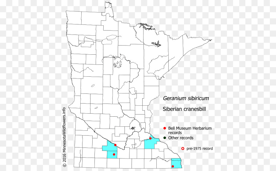 Minnesota Zeichnen Sie das Grundstück Zeigen - Sibirische Kran