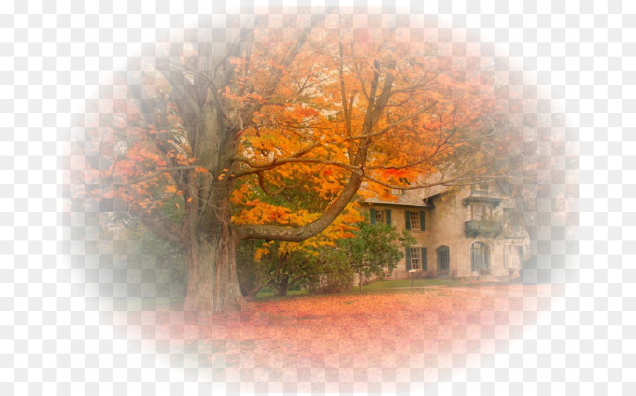 Norman Rockwell Museum Stockbridge Ist Eine Hotelwahl Für Quebec, Fotografie, Herbst - landschaft png